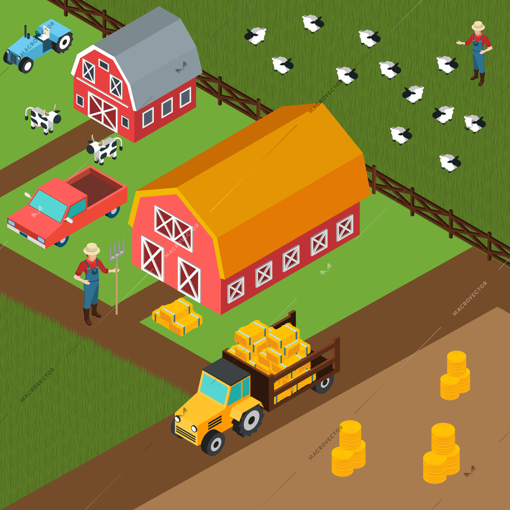 Colorful isometric 3d background with farmers grazing cows and sheep near shed with hay vector illustration