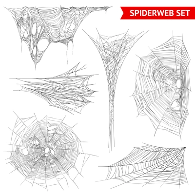 Various types of spider web and cobweb structures realistic images collection on white background isolated vector illustration