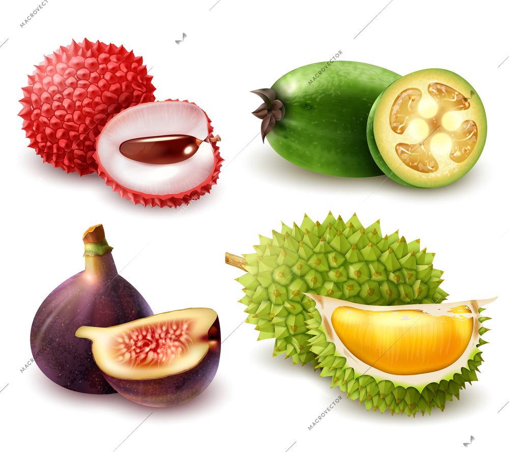 Set of realistic exotic fruits including lychee, feijoa, fig and durian isolated 3d vector illustration