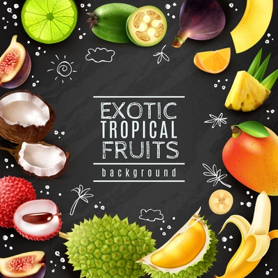 Decorative frame exotic tropical fruits on chalk board background with white doodle elements vector illustration