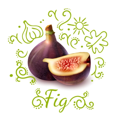 Exotic fruit fig with purple peel with green doodles composition on white background vector illustration