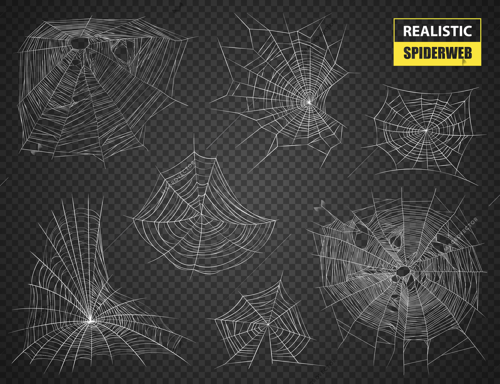 Realistic set of white sophisticated spiderwebs of various forms and sizes on dark transparent background vector illustration