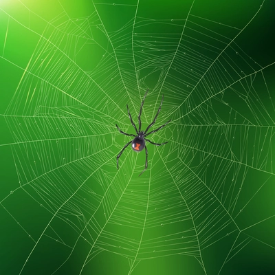 Brightly lit green realistic background with spider weaving its sophisticated web 3d vector illustration