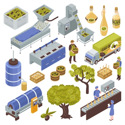 Olive production process isometric set with fruit harvesting transportation oil extraction filtering storage packing distribution vector illustration