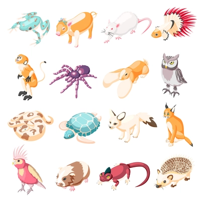 Exotic pets isometric icons set of rabbit turtle parrot lynx rat frog spider monkey hedgehog lizard snake owl cartoon characters vector illustration