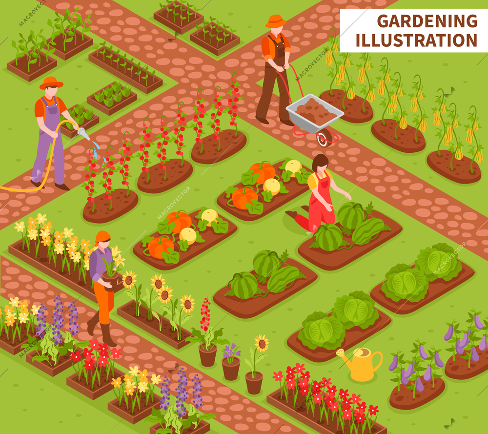 Gardening isometric composition with fruit flowers and vegetables symbols vector illustration