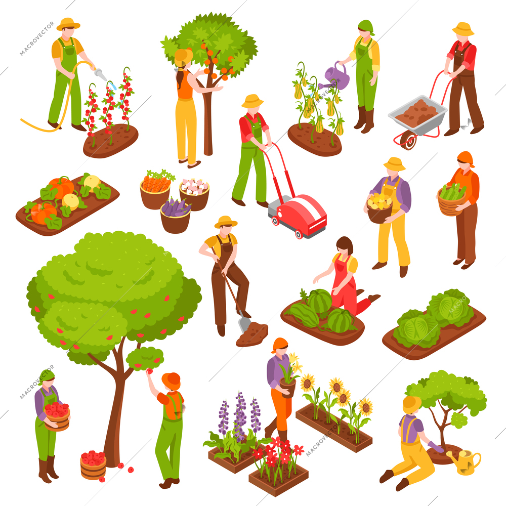 Gardening isometric set with trees fruit and vegetables symbols isolated vector illustration