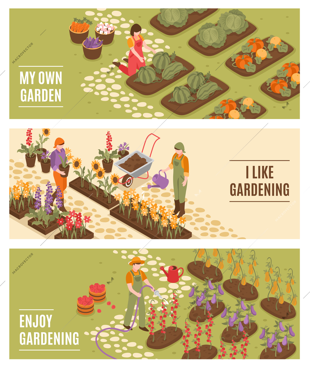 Gardening isometric horizontal banners set with flowers and fruit symbols isolated vector illustration