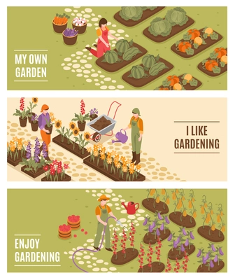 Gardening isometric horizontal banners set with flowers and fruit symbols isolated vector illustration