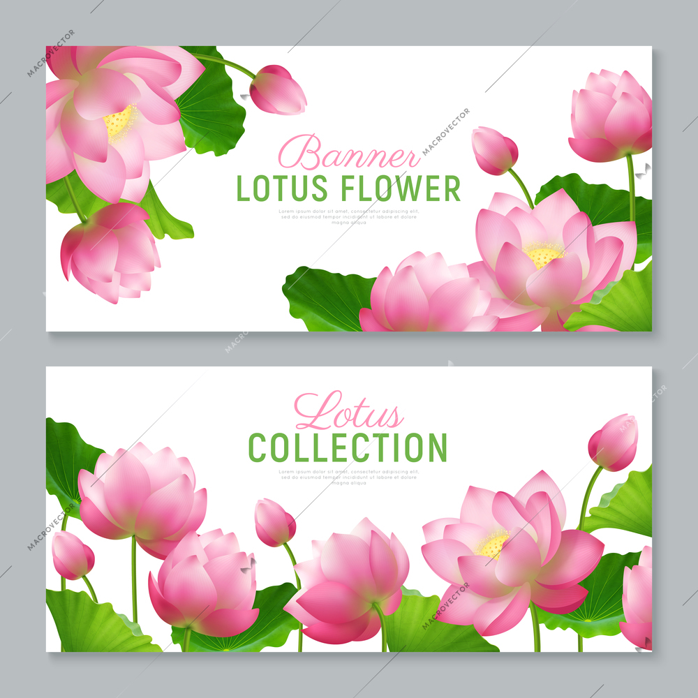 Beautiful realistic lotus flowers collection 2 ornamental horizontal banners set with lettering on white background vector illustration