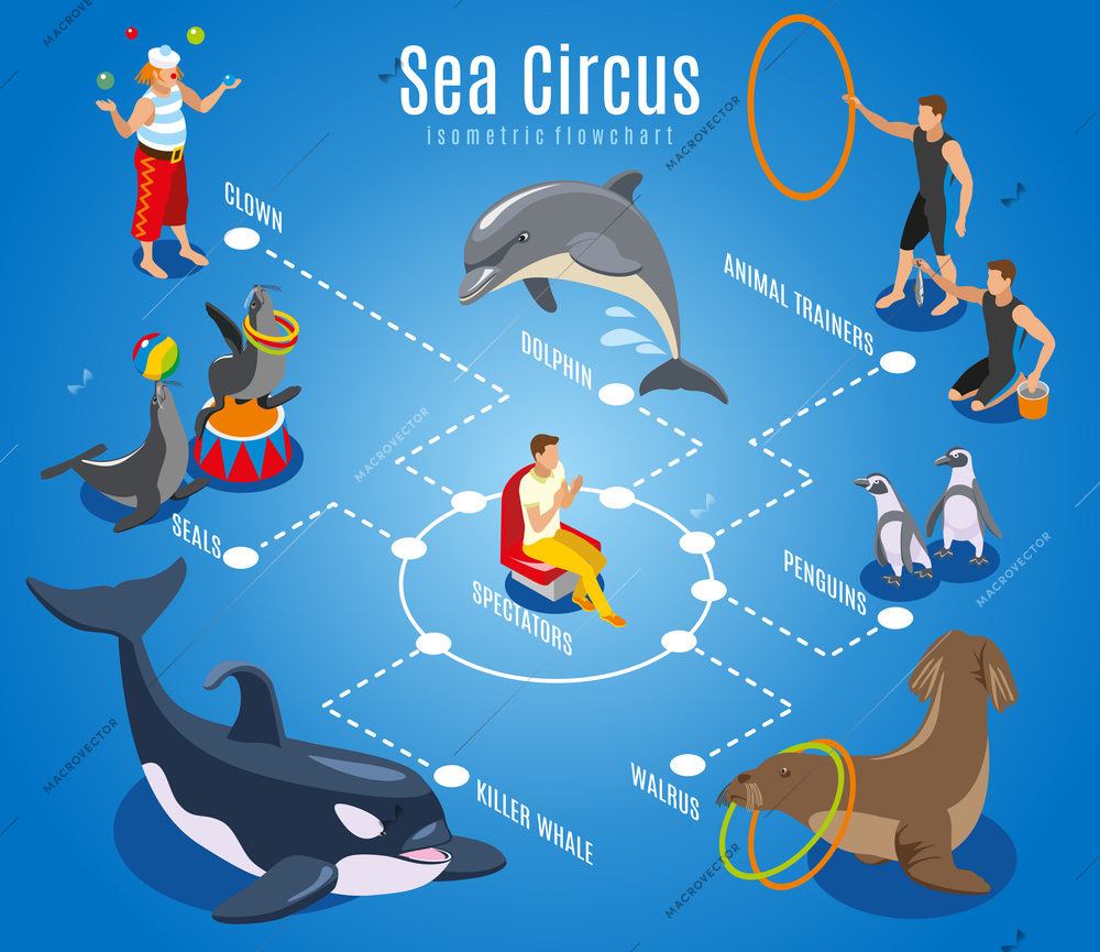 Sea circus flowchart with animal trainers spectators seals walrus penguins dolphin killer whale isometric icons vector illustration