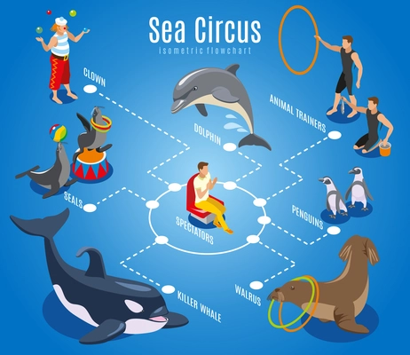 Sea circus flowchart with animal trainers spectators seals walrus penguins dolphin killer whale isometric icons vector illustration