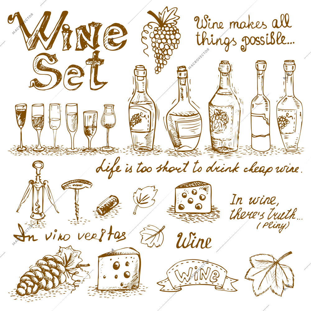 Set of wine elements for design vector illustration