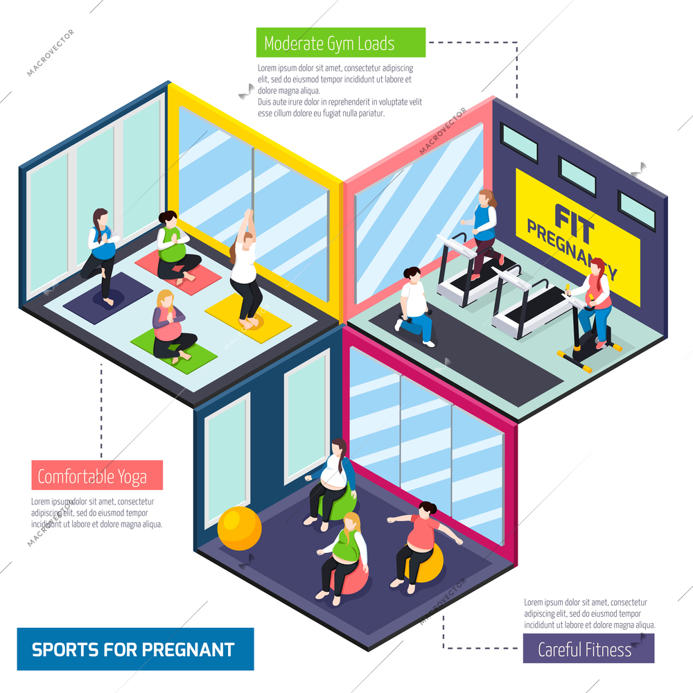 Sports for pregnant women, careful fitness, comfortable yoga and exercises on training equipment isometric vector illustration