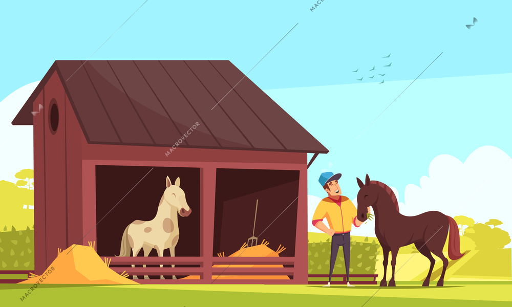 Equestrian sport composition with outdoor images of horse stable and human character feeding the stallion vector illustration