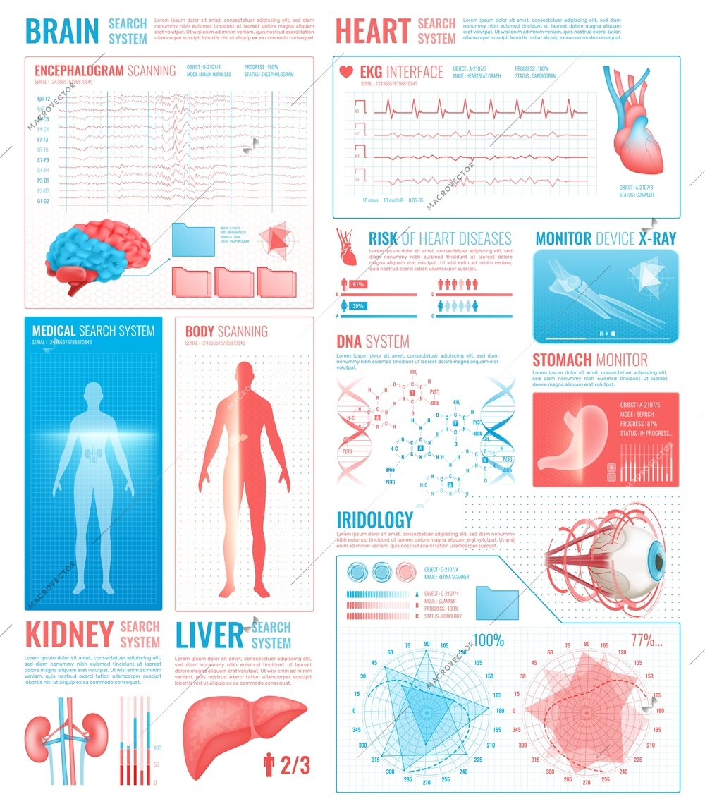 Medical interface elements with body scanning brain and heart search system symbols flat isolated vector illustration