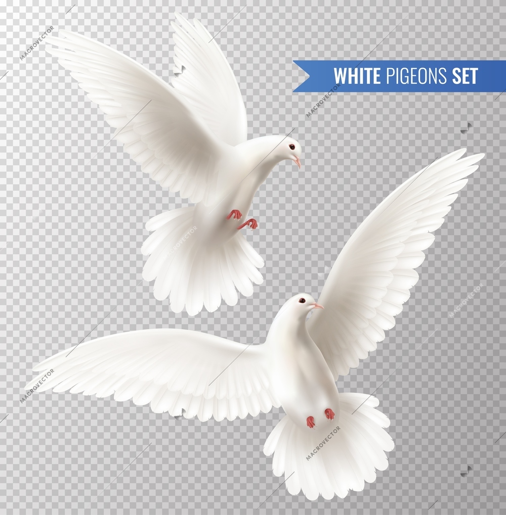 White dove transparent set with peace symbols realistic isolated vector illustration