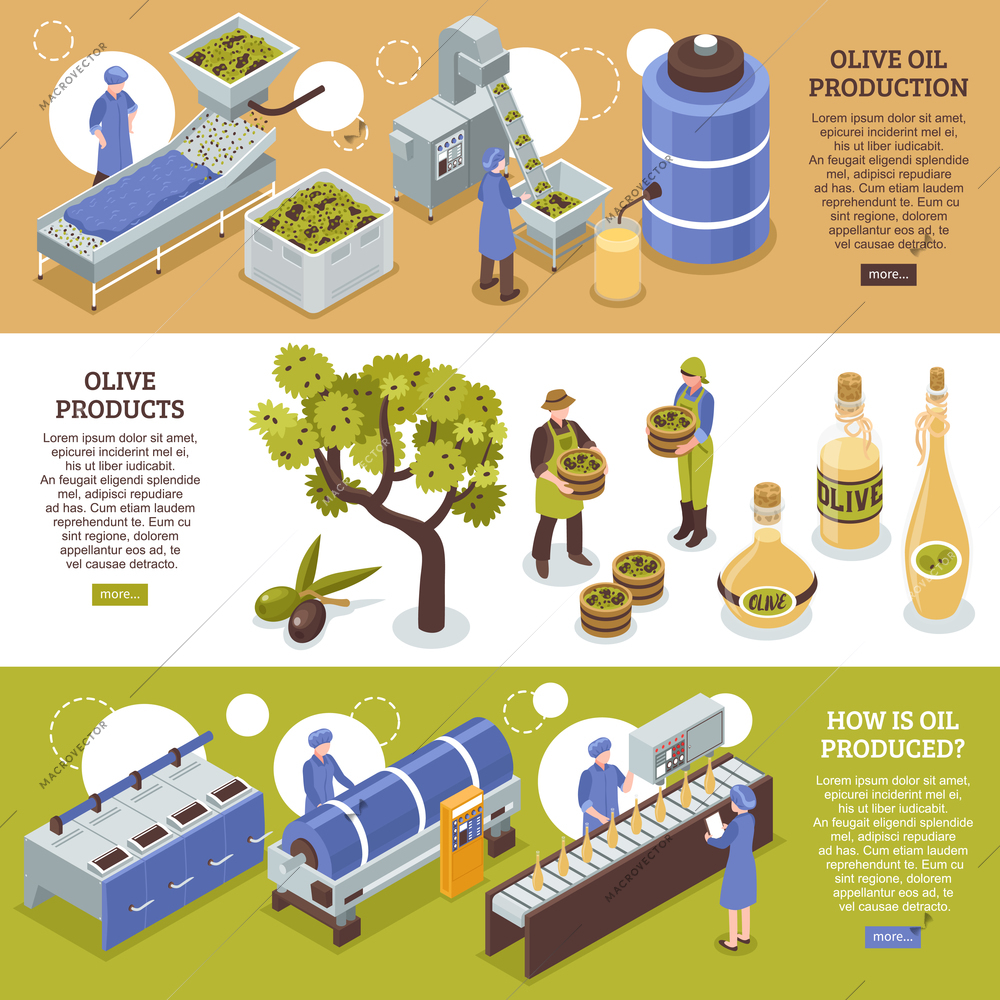 Olive harvesting conservation and oil production process 3 isometric horizontal banners web page design isolated vector illustration