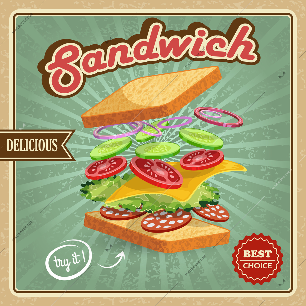 Salami sandwich ingredients poster with bread onion cucumber tomato cheese lettuce vector illustration