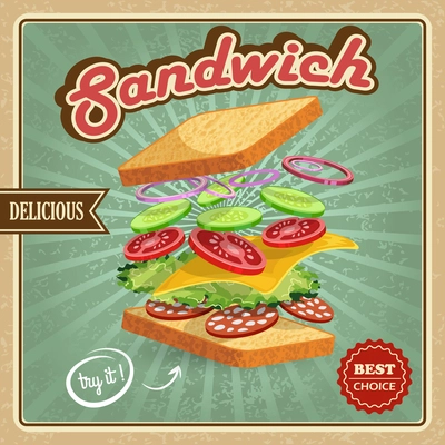 Salami sandwich ingredients poster with bread onion cucumber tomato cheese lettuce vector illustration