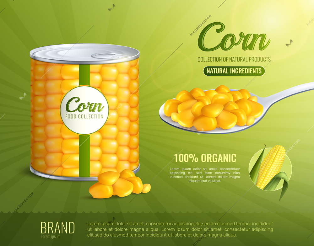 Corn advertising composition with natural ingredients symbols realistic vector illustration