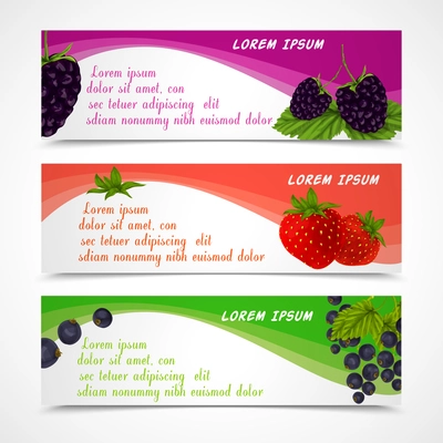 Natural organic forest berries banners set of blackberry strawberry black currant design template vector illustration