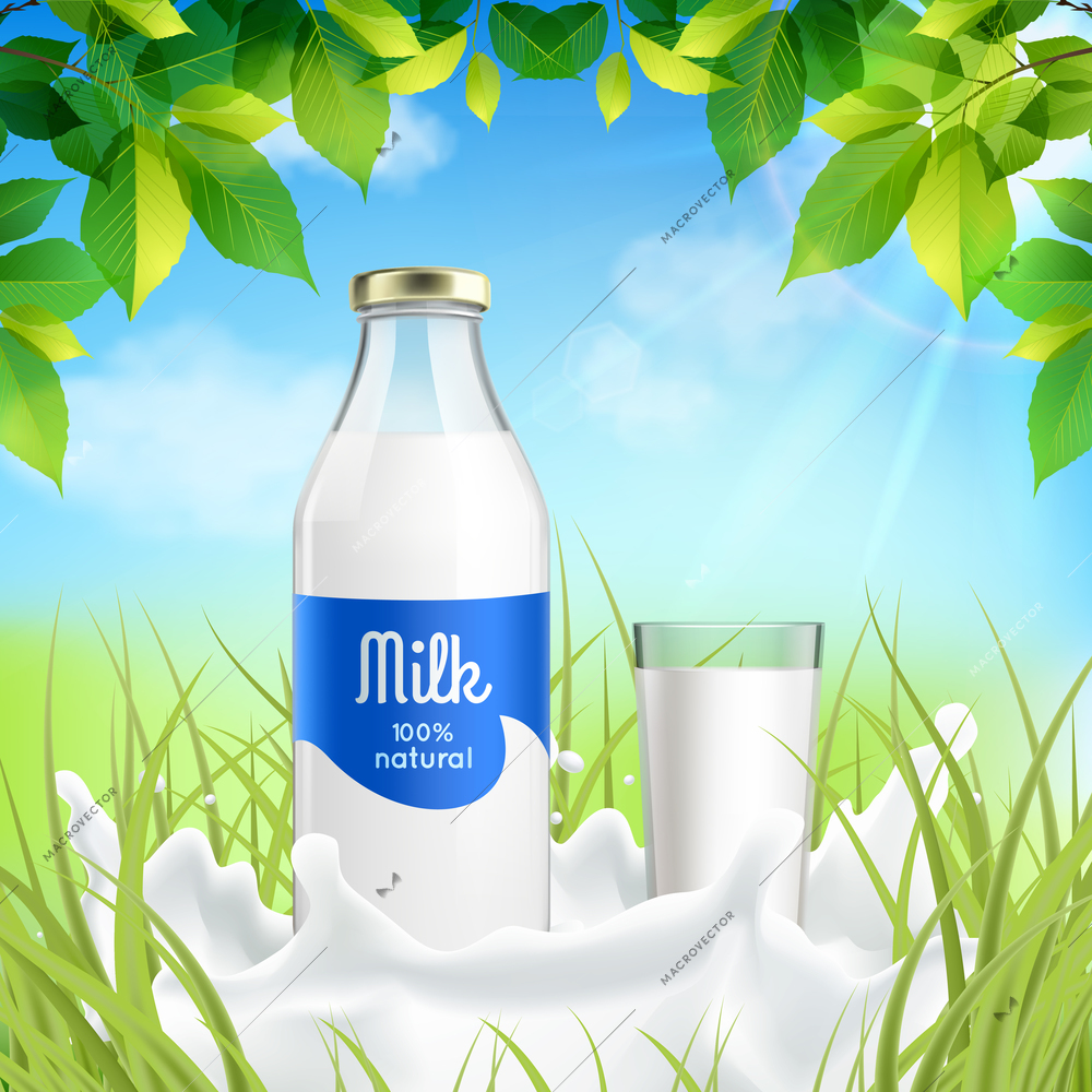 Natural dairy products realistic composition with bottle and full glass  milk in sunny meadow grass vector illustration