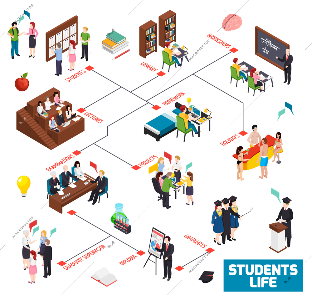 University colledge students life isometric flowchart with library workshop lectures homework holidays examinations graduate diploma vector illustration