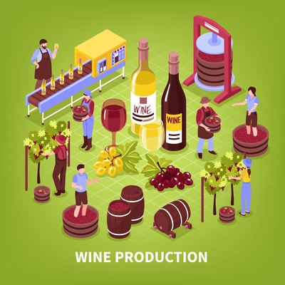 Wine production composition vineyard pressing of grapes bottling conveyor and aging in barrels isometric vector illustration