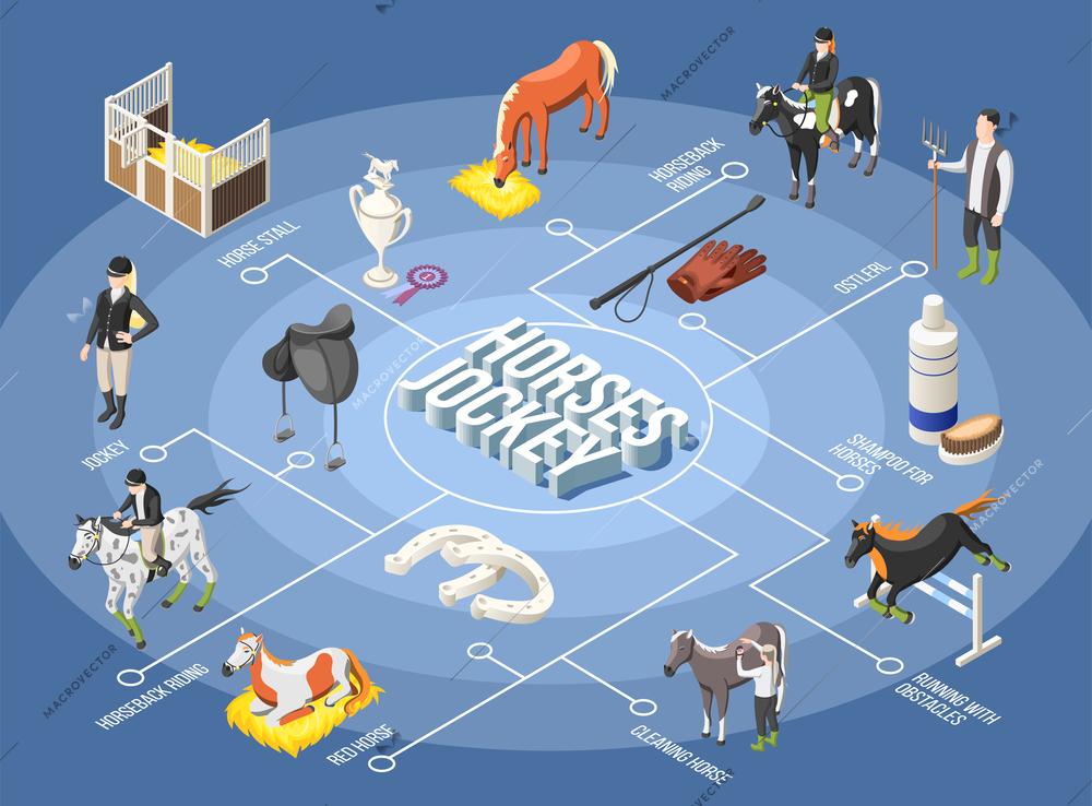 Horses and jockey 3d flowchart with ostler horse stall horseback riding running with obstacles isometric elements vector illustration