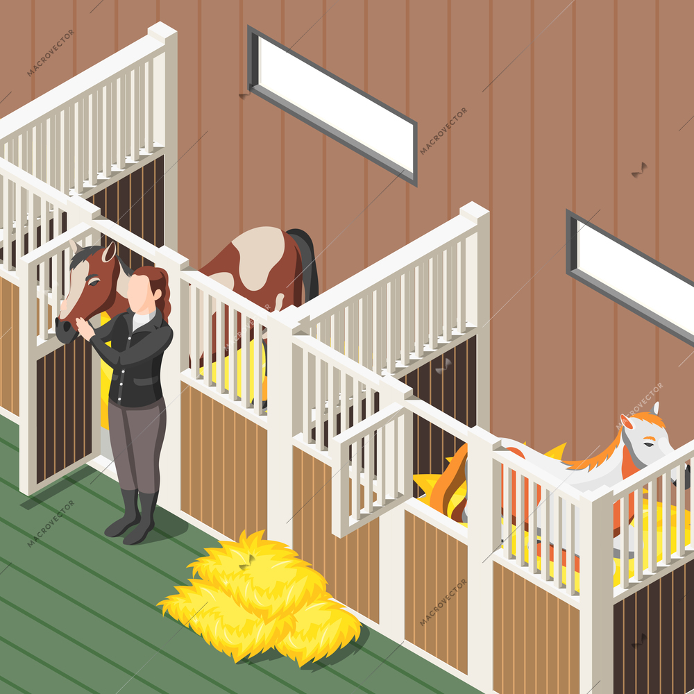 Horse stable interior isometric background with horses in stall and female figurine in jockey form vector illustration