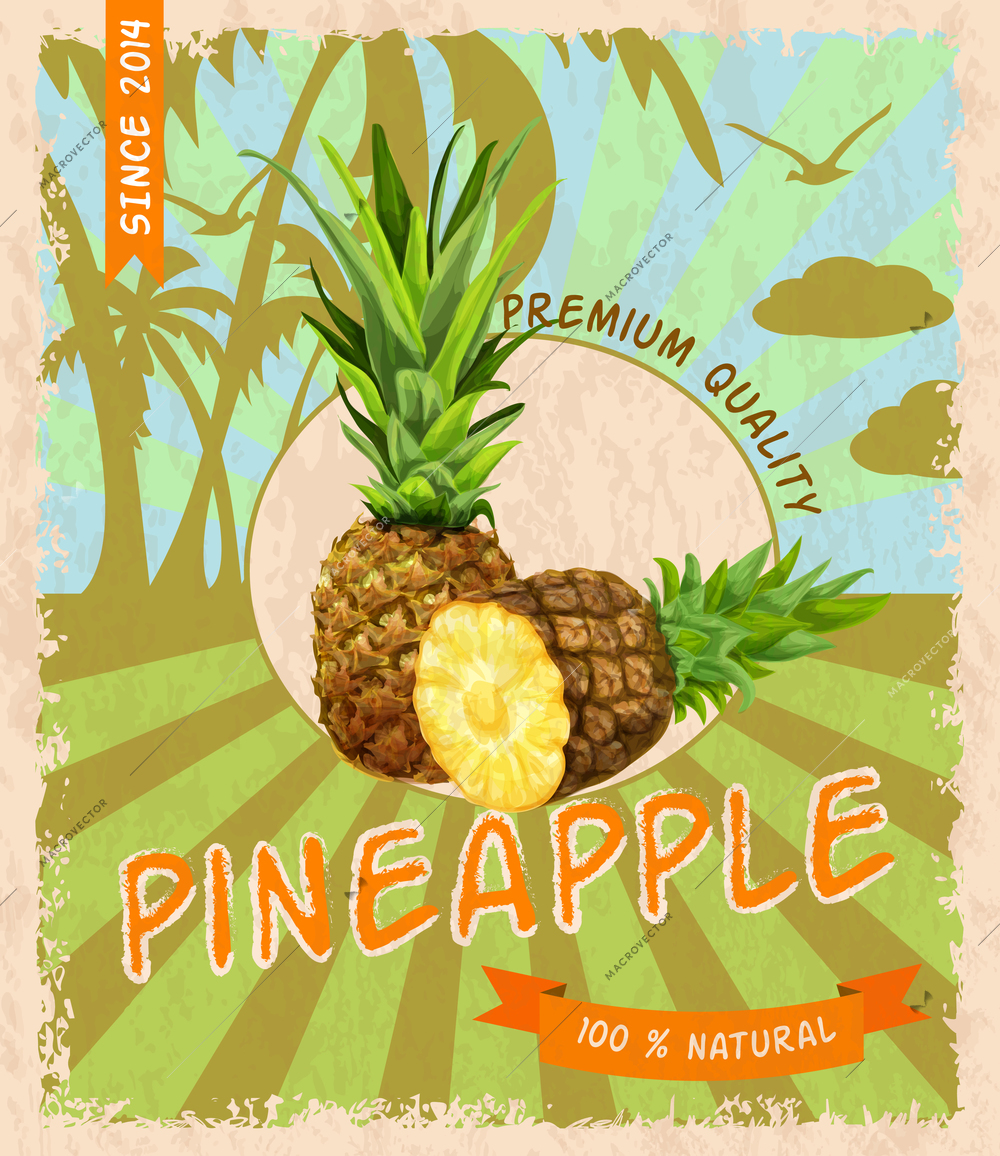 Natural fresh organic tropical pineapple retro poster vector illustration