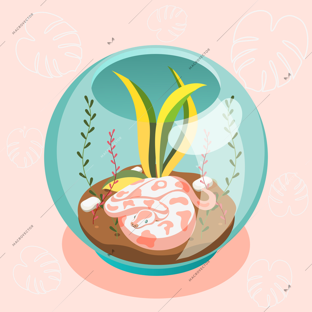 Exotic pets isometric composition with snake snake lying in glass terrarium cartoon vector illustration