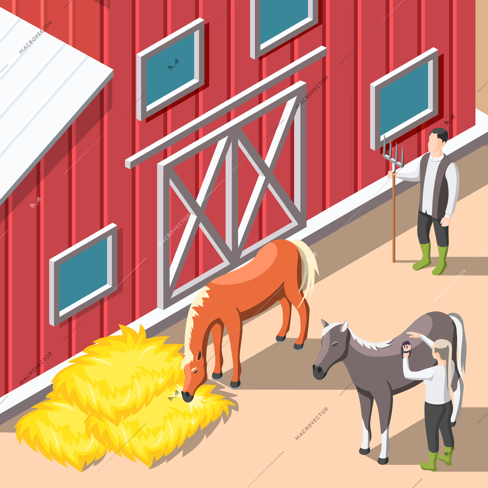 Horse breeding Isometric background with staff caring for horses and supplying hay forage in stable interior vector illustration