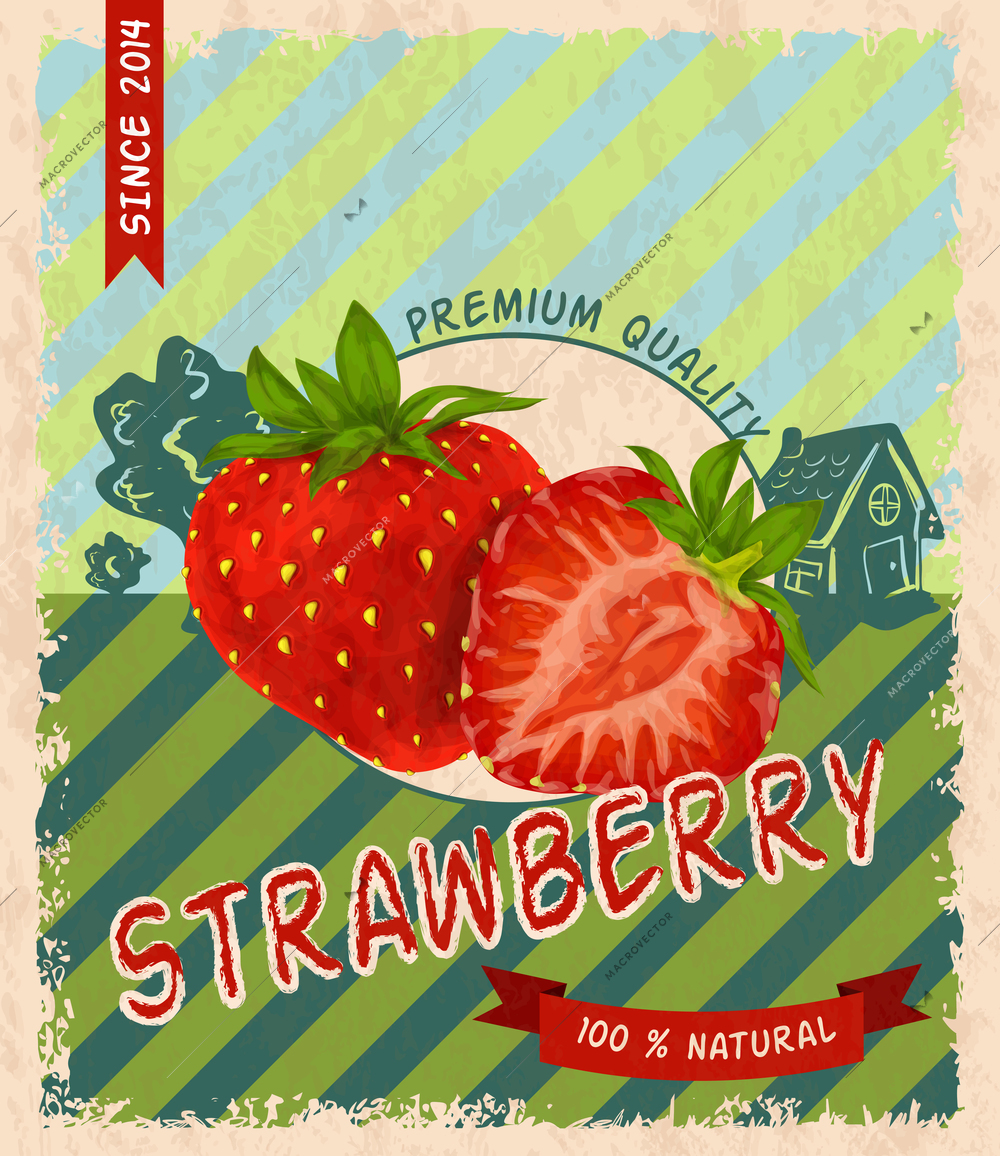 Natural fresh organic sweet garden strawberry premium quality retro poster vector illustration