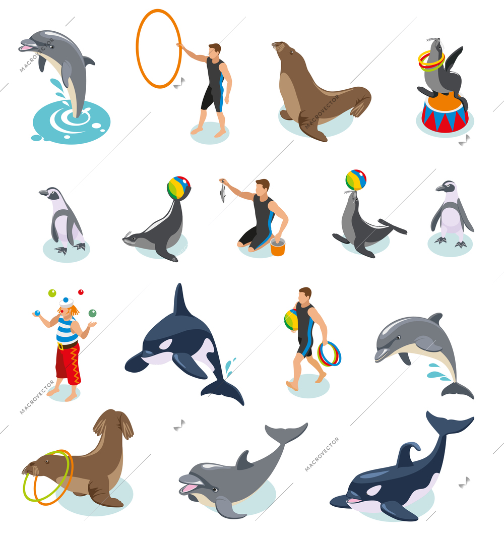 Sea circus isometric icons set of seals walrus penguins dolphin killer whale animal trainers and juggling clown isolated vector illustration