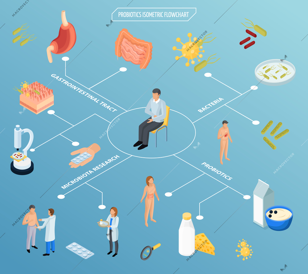 Probiotics isometric flowchart composition with isolated icons of pills food human organs and characters of patients vector illustration