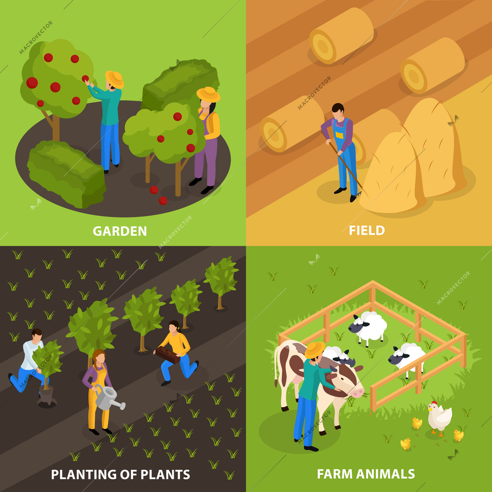 Ordinary farmers life isometric 2x2 design concept with colourful outdoor compositions of household and farmstead activities vector illustration