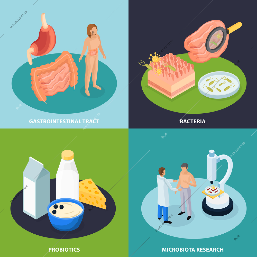 Probiotics isometric 2x2 design concept with conceptual images of organs food and bacteria with human characters vector illustration