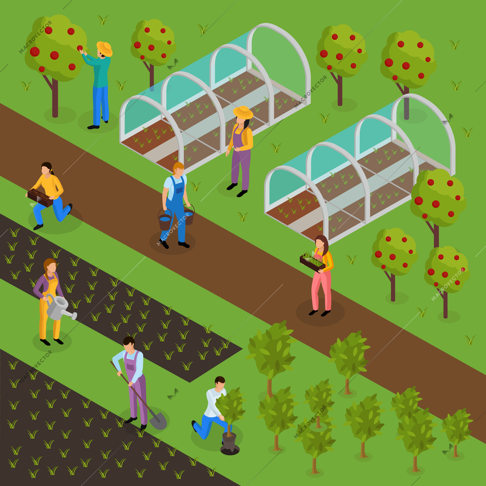 Ordinary farmers life isometric composition with human characters of greensmen in uniform with plants and hothouse vector illustration