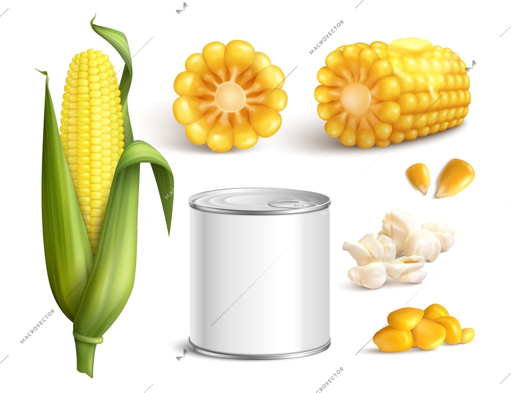 Maize in cob with green leaves, grains, pop corn, canned product, realistic set isolated vector illustration