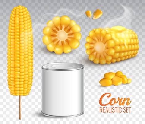 Realistic corn in cob, grains, baked buttered maize, canned product, set on transparent background isolated vector illustration