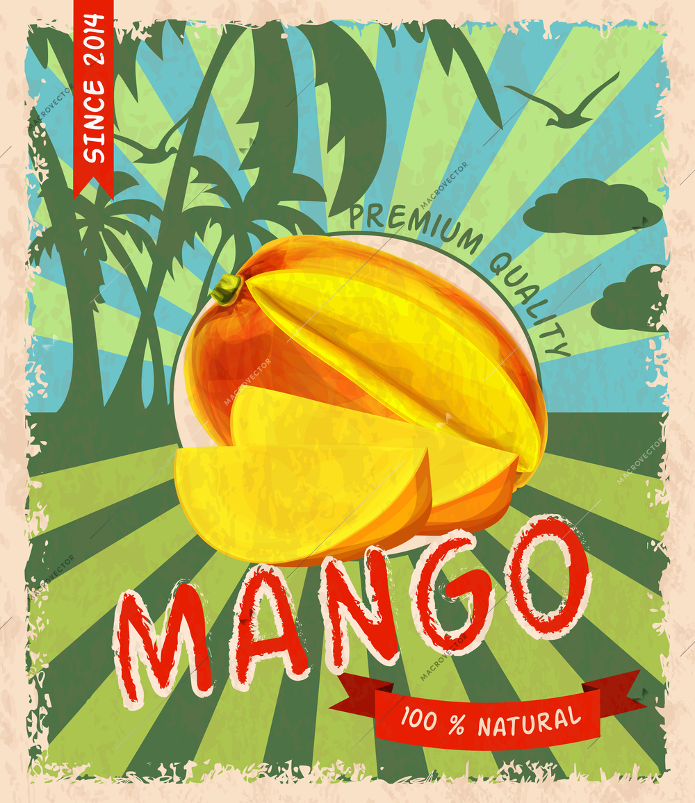 Natural fresh organic sweet mango premium quality retro poster vector illustration.