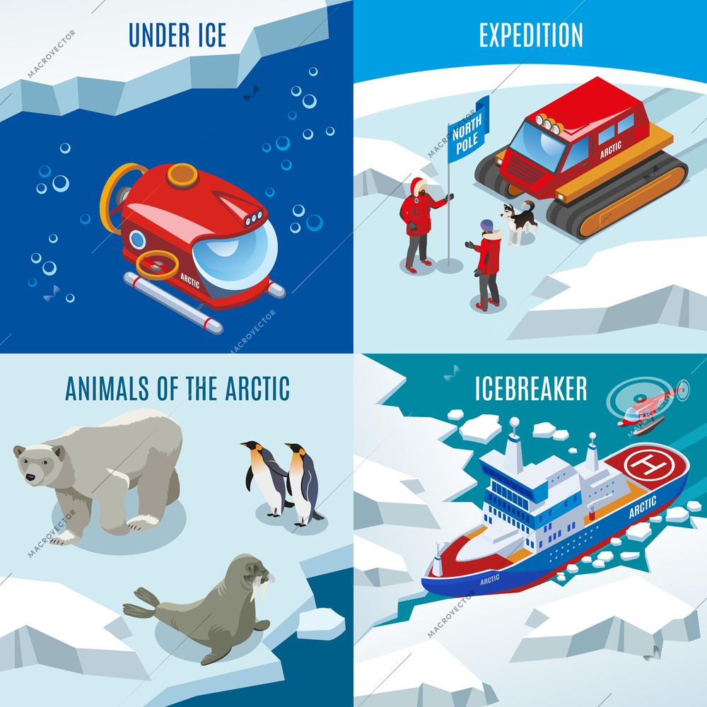 Arctic research isometric design concept, expedition, northern animals, discoveries under frozen water, ice breaker, isolated vector illustration