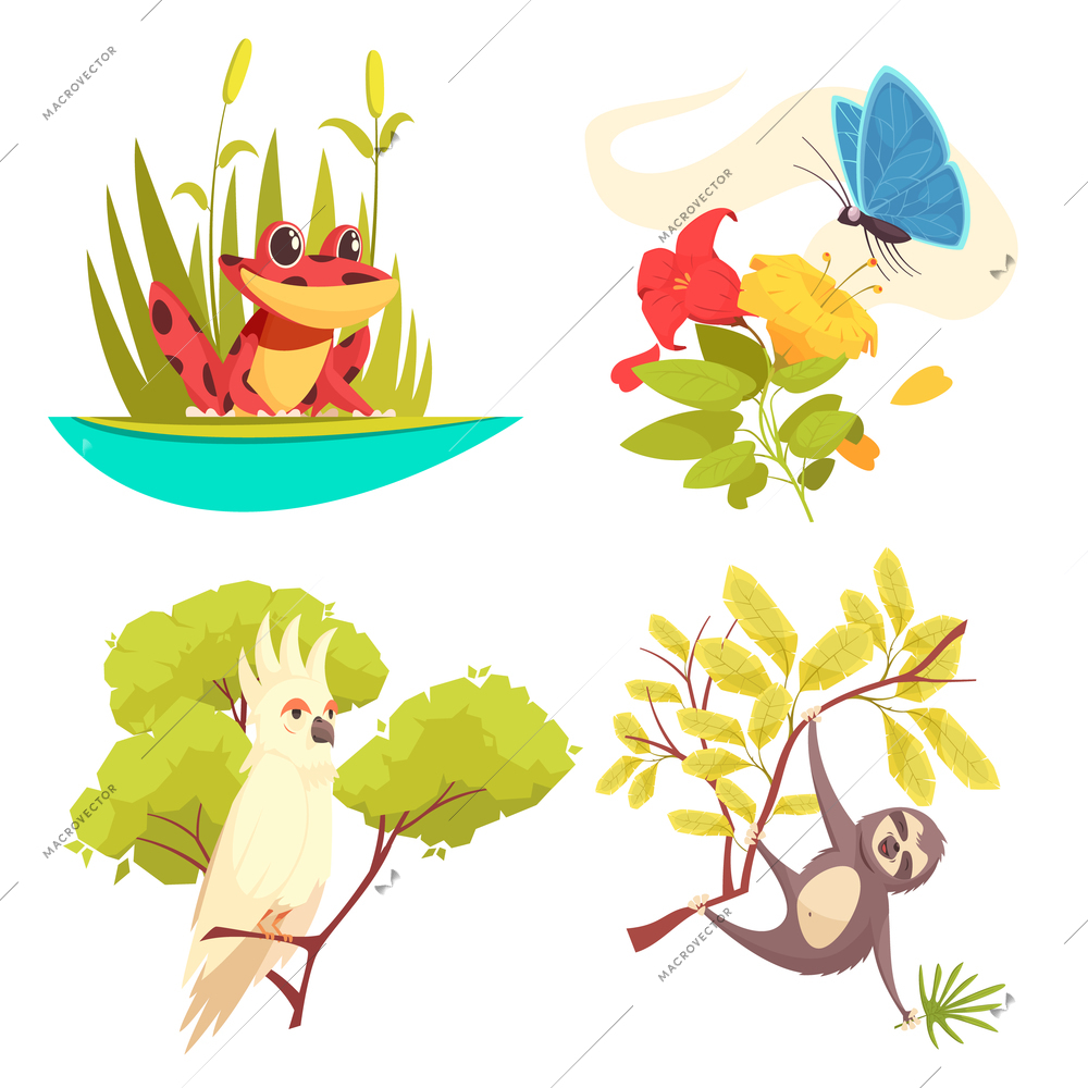 Animals jungle design concept with frog in reeds, butterfly on flower, parrot and sloth isolated vector illustration