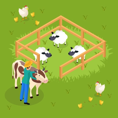 Ordinary farmers life isometric background with cattle and farm animals sheepfold and human character embracing cow vector illustration