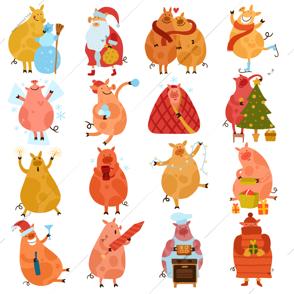 Set of cartoon piggies during new year holiday including playing with snow gift preparation isolated vector illustration