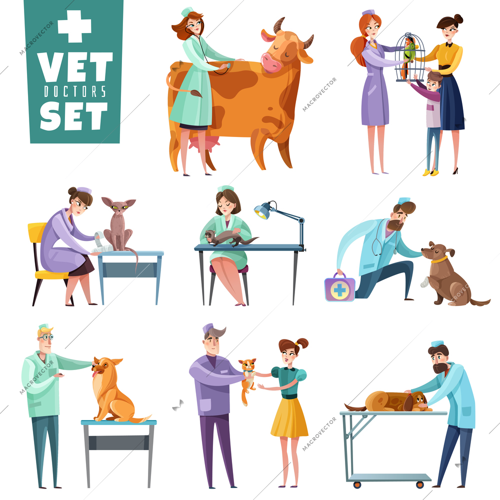 Set of vet doctors during professional examination of pets and farm animals isolated vector illustration