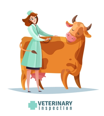 Veterinary inspection composition vet doctor with stethoscope during cow examination flat vector illustration