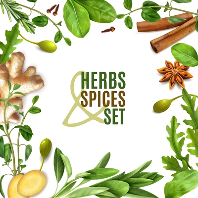 Herbs spices realistic square frame with fresh rosemary thyme rocket spinach leaves cinnamon ginger anise vector illustration